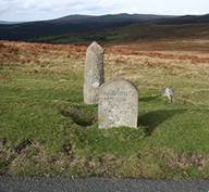 Dartmoor Milestone