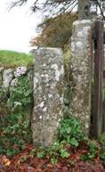 Old Tavistock Trust Milestone Lydford