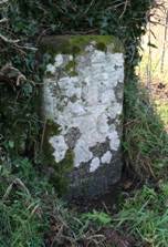 Tavistock Milestone Peter Tavy