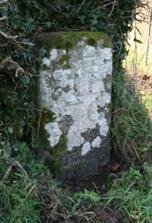 Tavistock Milestone Peter Tavy
