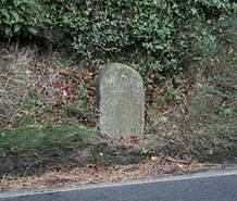 Little Haldon milestone