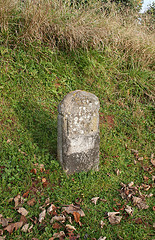 Butterleigh Milestone